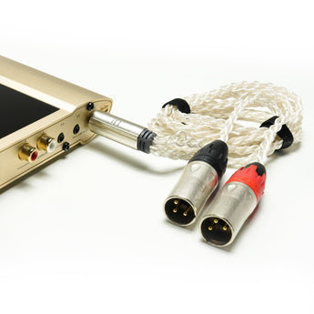 iDSD Valkyrie iFi Bundle - Valkyrie with 4.4mm to XLR Cable