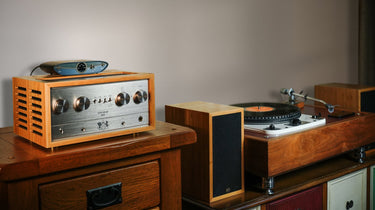 Using the Zen Phono 3 with a Vinyl