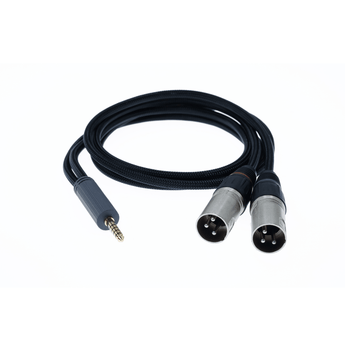 ケーブル・シールド iFi audio 4.4 to XLR cable 4.4mm to XLR Cable SE