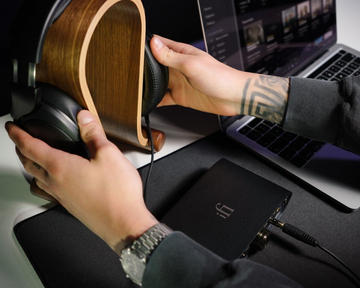 ZEN CAN 3: High-Power Analogue Amplifier with 5 EQ Modes – iFi audio