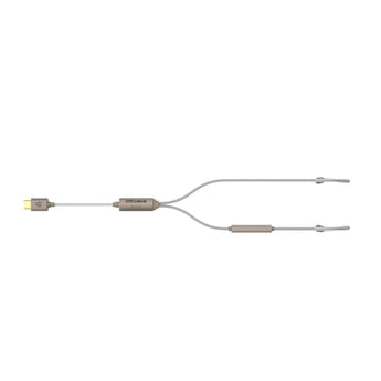 iFi GO cable 
