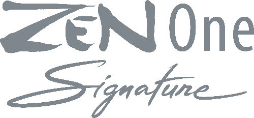 iFi_ZEN-One-Signature_iCon_Grey-211112002